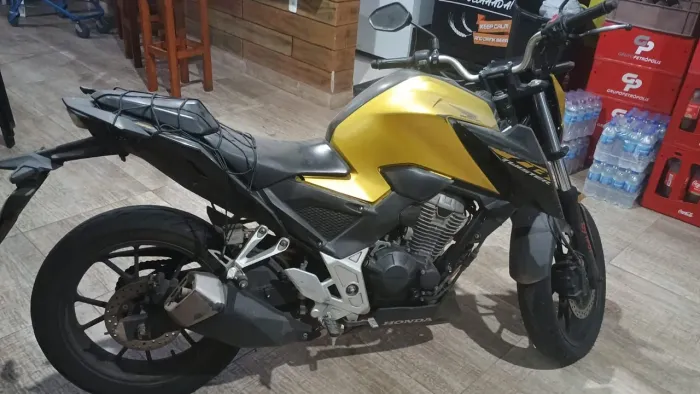 Twister CB 300 cc