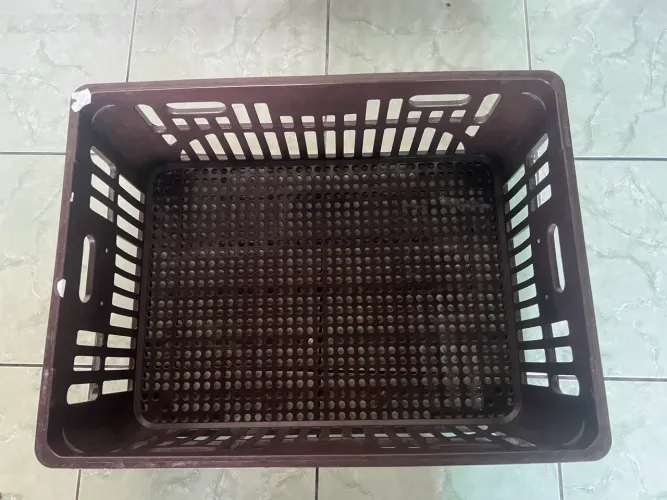 Caixa de plástico para transporte . 