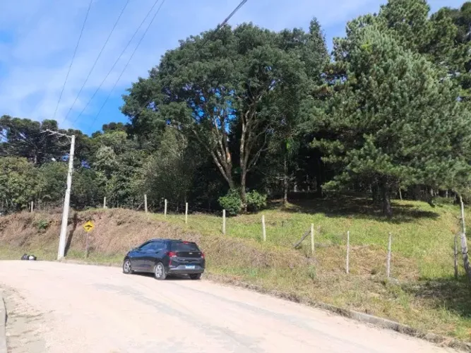 Terreno 5.300 m2 Campo Alegre - Bateias de Baixo - Escriturado
