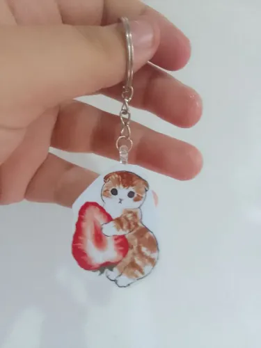 Chaveiros plastificado (personalizado também)