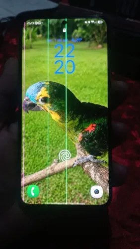 Celular
