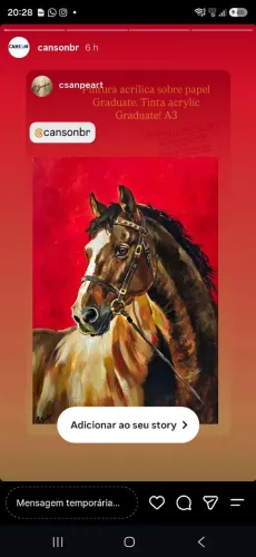 Pintura acrilica com moldura A3