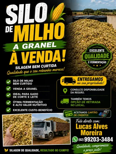 Silagem de milho ensacada e a granel