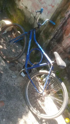 Monarki bike 