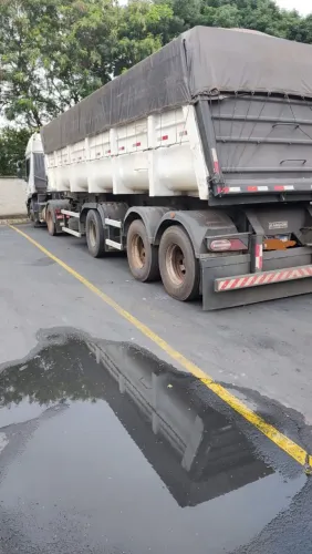 Carreta Randon canguru