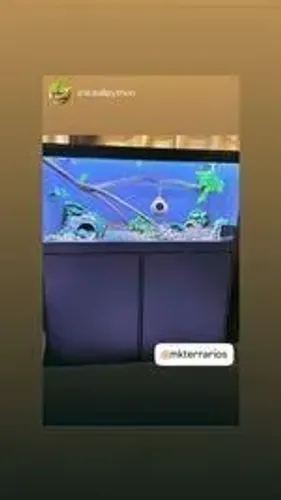 Terrários