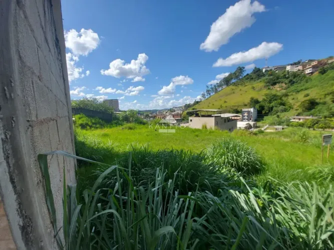 Terreno à venda, 313 m² por R$ 150.000,00 - Nova Benfica - Juiz de Fora/MG