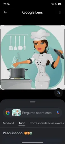Cozinheira forno e fogão