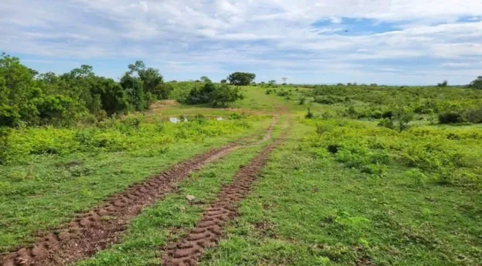 Fazenda 1.600 hec em Juscimeira MT. 960 hec abertos 35 milhões.