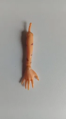 Mão + antebraço direito Toralai