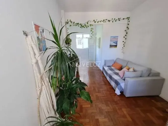 Apartamento : Padrão / Residencial / Botafogo