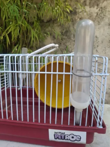 GAIOLA PARA HAMSTER BÁSICA