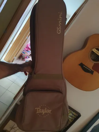 Taylor gs mini
