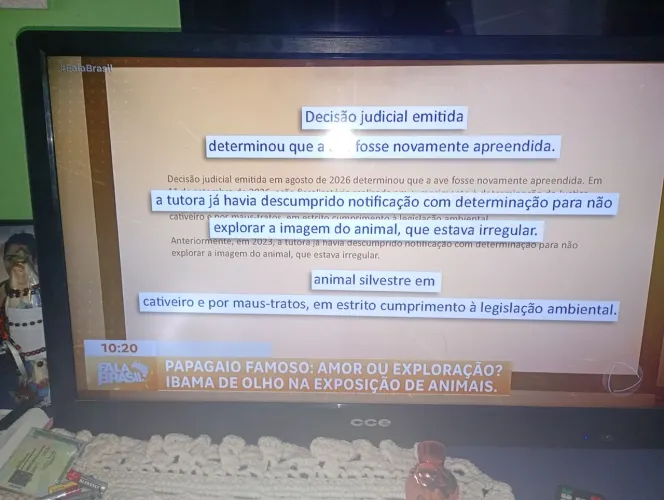 Tv CCE 32 polegadas