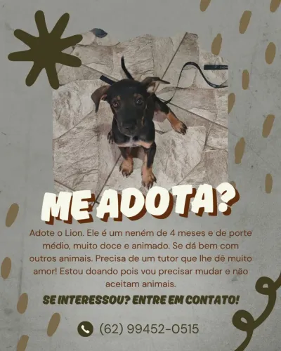 Adoção responsável