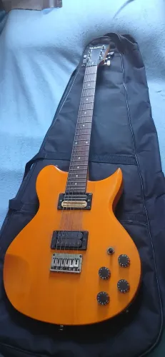Guitarra Elétrica