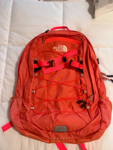 Mochila The North Face Borealis Rosa