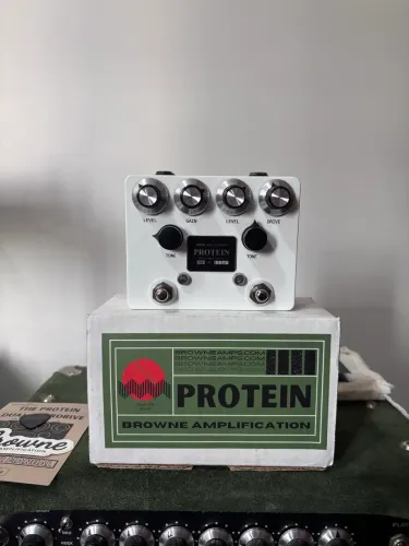 Brownie Amplification Protein v3