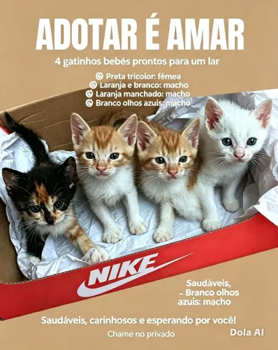 ADOTAR É AMAR GATINHOS LINDOS 
