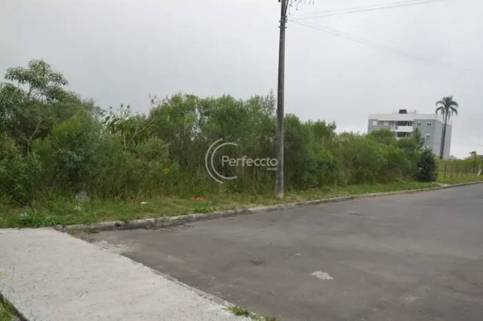 Terrenos - Vila Verde