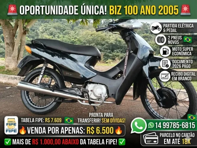 Biz 100 2005