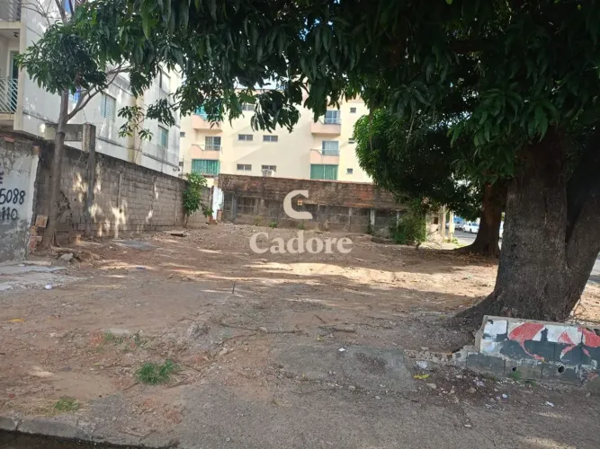 Terreno Comercial para Venda - Santa Monica, Uberlândia - 360m²
