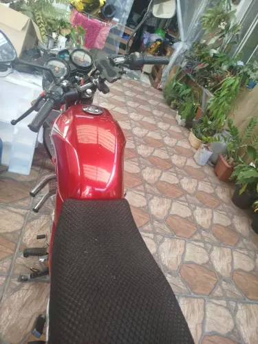 Yamaha YBR