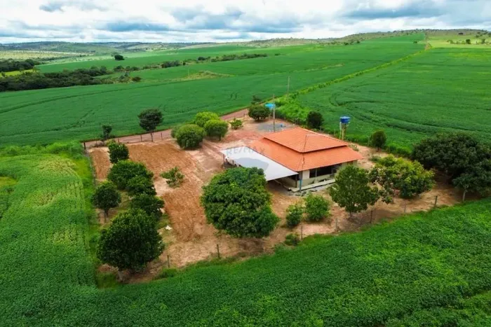 Fazenda 1.027 ha em Flores de Goiás | 400 ha Potencial Agrícola | Água Abundante