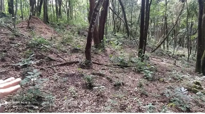 Vendo chácara  em ravena 