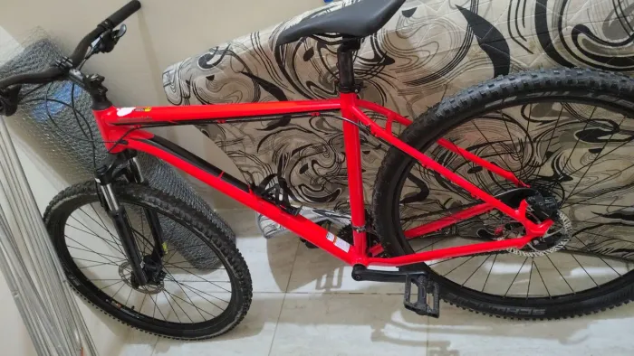 Bicicleta 29