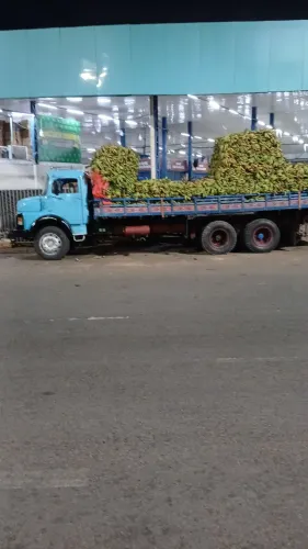 Vendo caminhão trucado