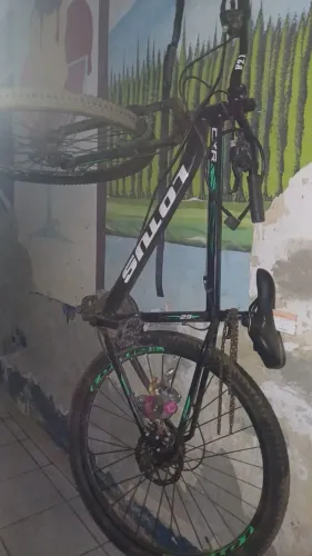 Bicicleta lotus