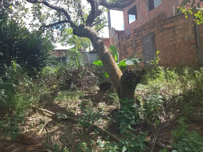 Vende-se esse terreno em parque São Paulo medindo 7 por 25 de comprimento 35.000