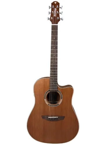 VIOLÃO STRINBERG DIAMOND DD1C NS FOLK