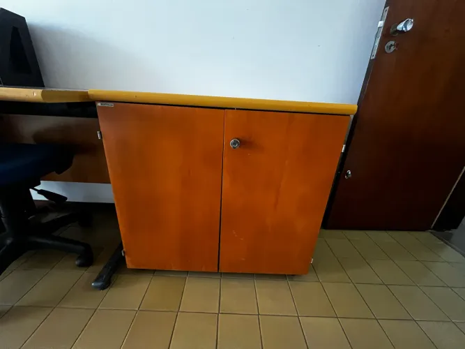 Armário baixo para escritório ou multiuso em madeira 80x50x75 