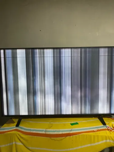 Televisão