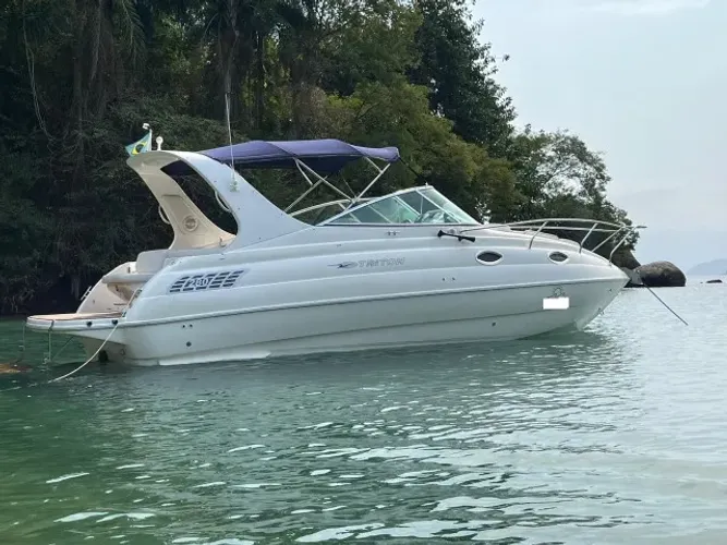 TRITON 280 - 2010 MOTOR MERCRUISER 260HP  RABETA BRAVO 3 