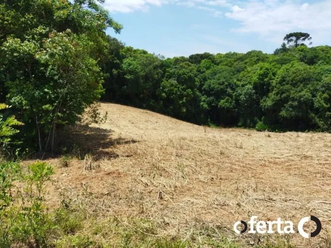 Chácara em Araucária - 23.482 m2 matricula individual