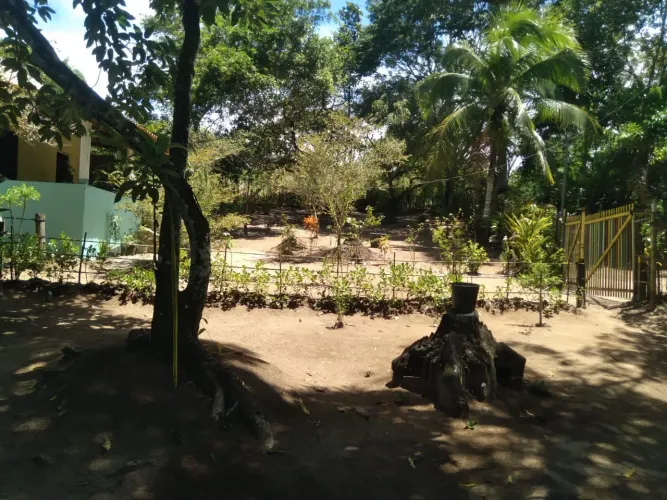 Venda de sitio