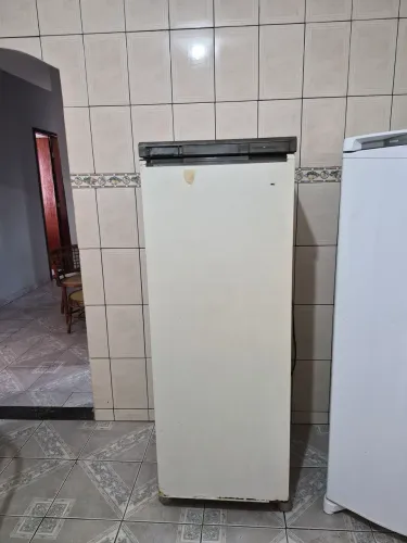 Vendo Freezer vertical.