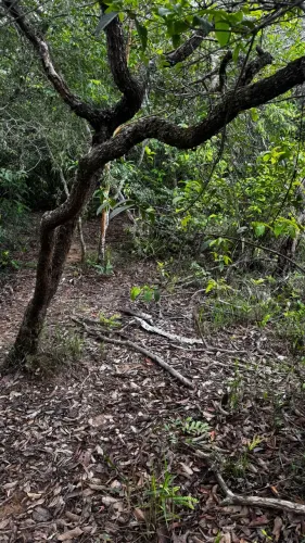 CHÁCARAS RIO DO PEIXE 20 MIL ENTRADA