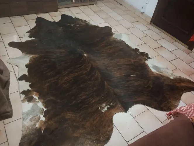 Tapete de couro sala 450 reais