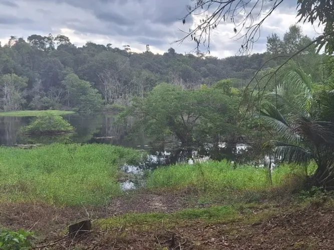 caseiro com experiência para trabalhar em iranduba