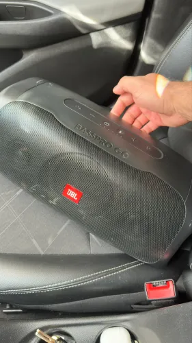 JBL BASSPRO GO