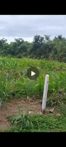 Terreno em mojui dos campos