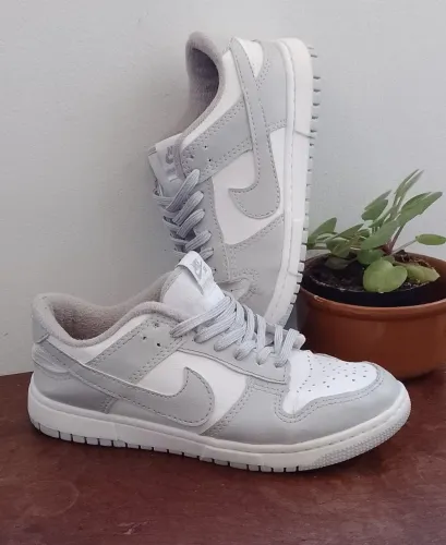 Nike Dunk Low Pro SB 2° linha