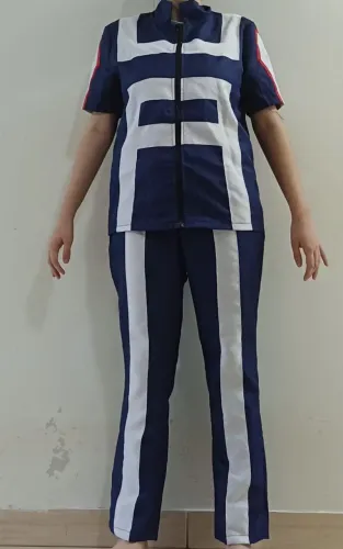 Cosplay Boku no Hero
