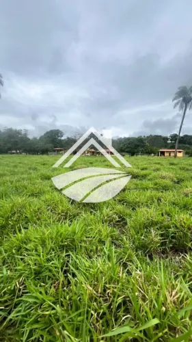 Fazenda para Venda em Barrolândia, ampla expansão agropecuária