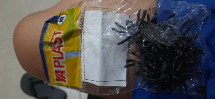 Aranha brinquedo 