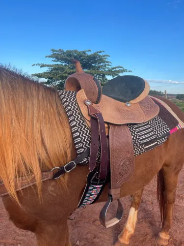 Sela e artigos para 3 tambores